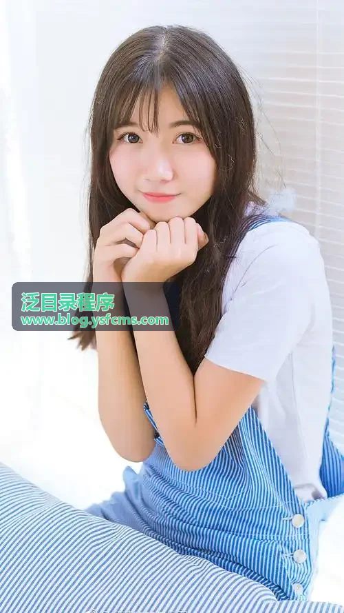 泛目录程序页面更新与内容发布示意图